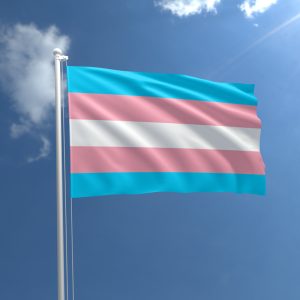 The Transgender Pride flag flies in the wind.