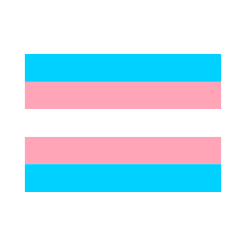 Transgender Pride Flag Transgender Pride Flag