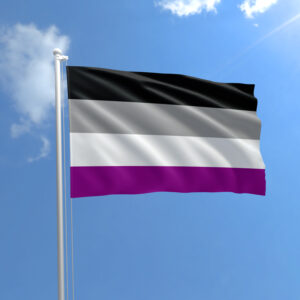 Asexual (Ace) Pride Flag