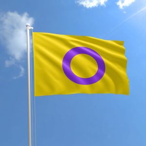 An intersex flag flies in the wind.